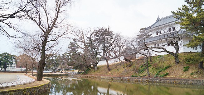 亀城公園